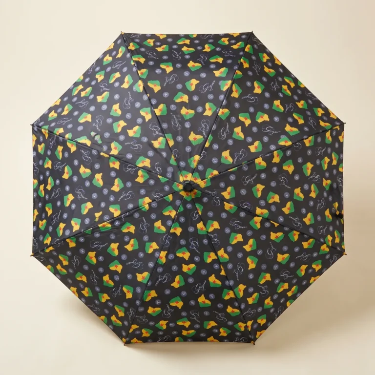 Parapluie rétractable